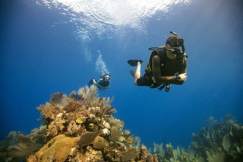 City of Side: Scuba Diving Underwater Museum with Pickup - Lunch Aboard: What’s Included Between Sessions