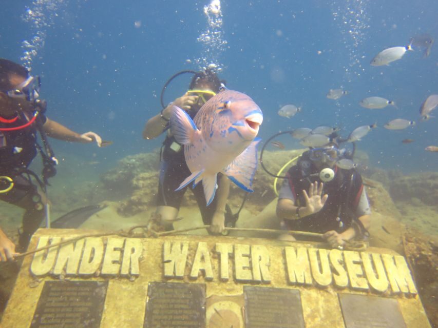 City of Side: Scuba Diving with Lunch - The Second Undersea Session: A Chance to Relax (and Catch More)