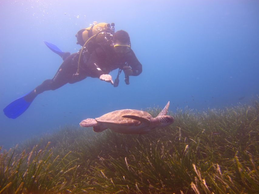 City of Side: Underwater Museum Scuba Diving Visit - Key points before you go