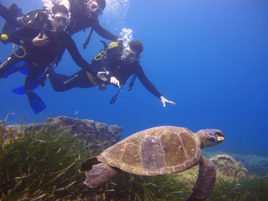City of Side: Underwater Museum Scuba Diving Visit - Who this is for—and who should think twice