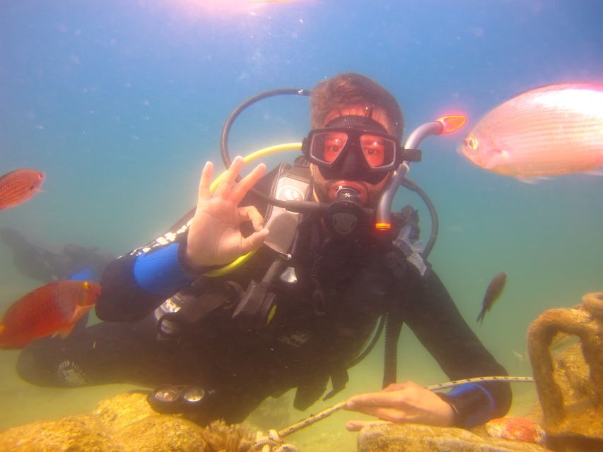 City of Side: Underwater Museum Scuba Diving Visit - Two underwater sessions at 5–6 meters: How the museum experience plays out