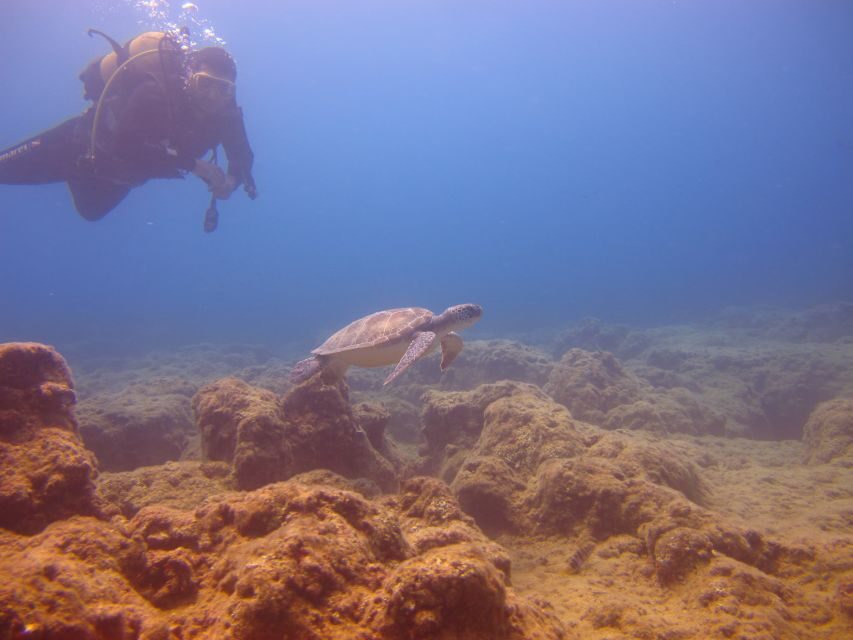 City of Side: Underwater Museum Scuba Diving Visit - Price and value: Why $50 can make sense here