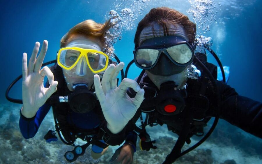 Diving Tour from Alanya & Side with Lunch - 2 Dives Included - Quick hits before you go