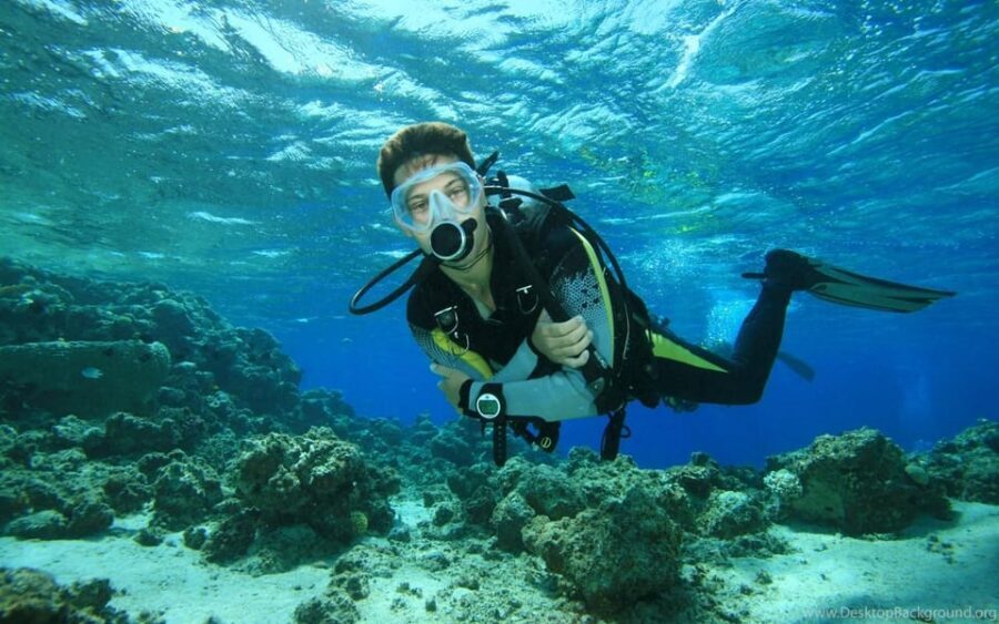 Diving Tour from Alanya & Side with Lunch - 2 Dives Included - Getting to the boat: hotel pickup and timing reality