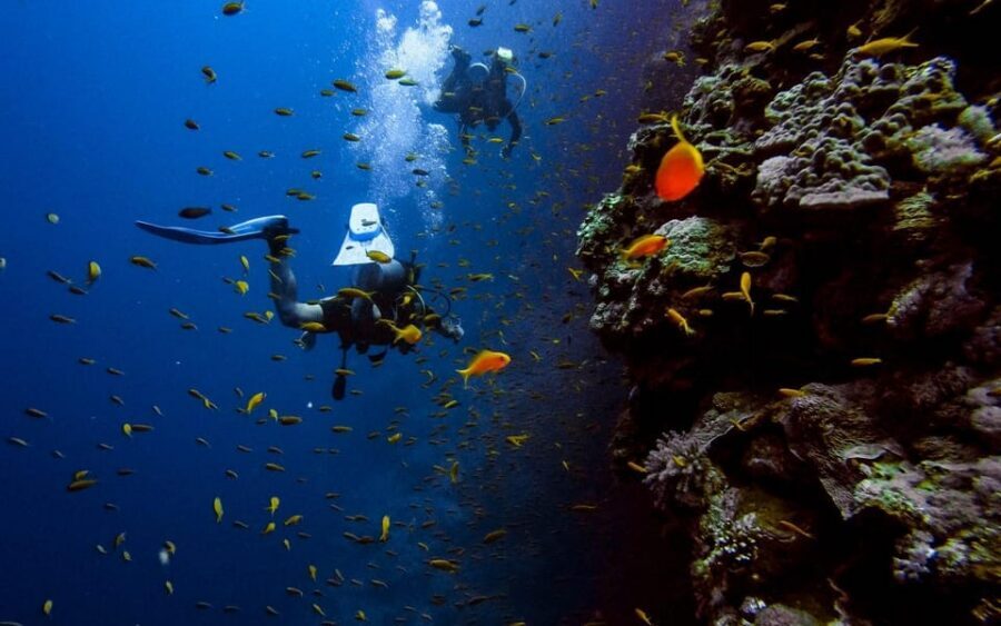 Diving Tour from Alanya & Side with Lunch - 2 Dives Included - Second underwater session around 12 meters: deeper views and calmer focus