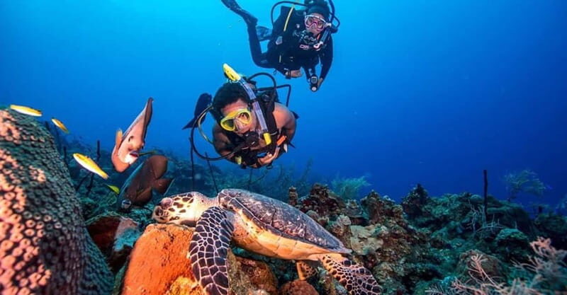 From Alanya: Scuba Diving Tour with Hotel Transfers - Training first: how they help beginners feel in control