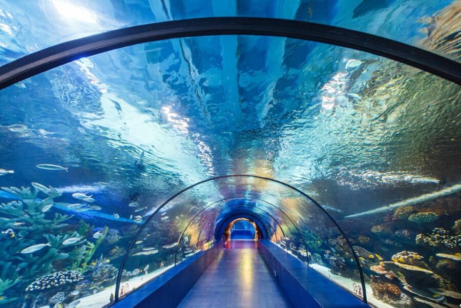 From City of Side: Antalya Aquarium Tour, Ticket & Transfer - Side to Antalya: getting the timing right on a 6-hour day