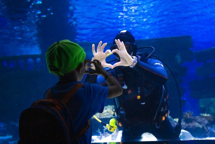 From City of Side: Antalya Aquarium Tour, Ticket & Transfer - Antalya Aquarium’s tunnel: what makes it worth the trip