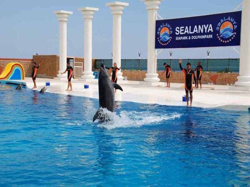 From Side Dolphin and Seal Show Ticket with Hotel Transfers - Price and Value: Is 42 USD a Good Deal?