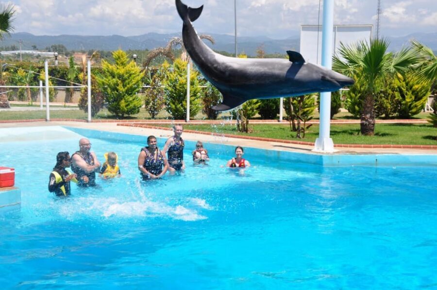 From Side Dolphin and Seal Show Ticket with Hotel Transfers - Swimming With Dolphins and Seals: When the Add-On Makes Sense