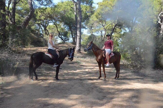 Horse Riding in Manavgat Side Forest and Beach - Horse Riding in Side and Manavgat: how the experience really feels