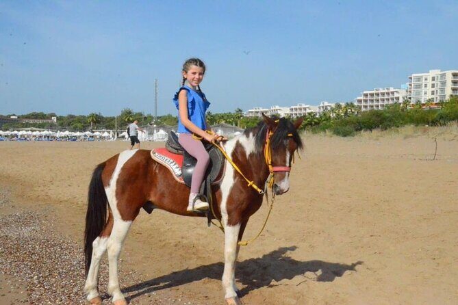 Horse Riding in Manavgat Side Forest and Beach - Price and value: what you’re paying $56.72 for