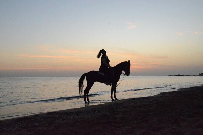Horse Riding in Manavgat Side Forest and Beach - Safety reality check: what to watch for on horseback