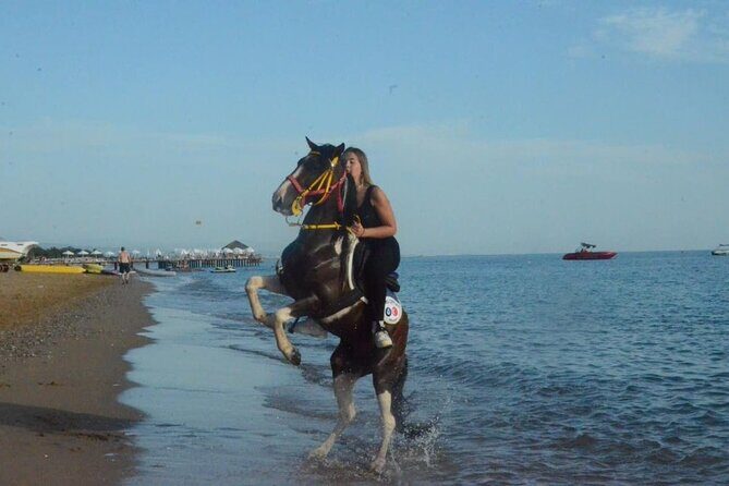 Horse Riding in Manavgat Side Forest and Beach - The one-hour ride: pine forest paths and a river break