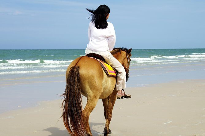Horse Riding on the Beach in Side - Forest or Beach: Your Ride Options Around Side