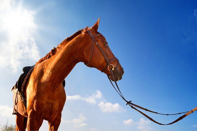 Horse Riding on the Beach in Side - What to Wear (So You Don’t Spend the Ride Thinking About Pain)