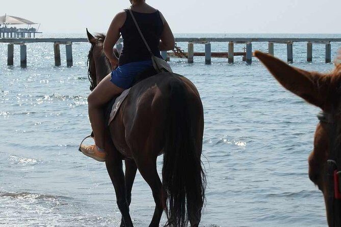 Horse Riding on the Beach in Side - What Happens After Hotel Pickup in Side (and Why It Matters)