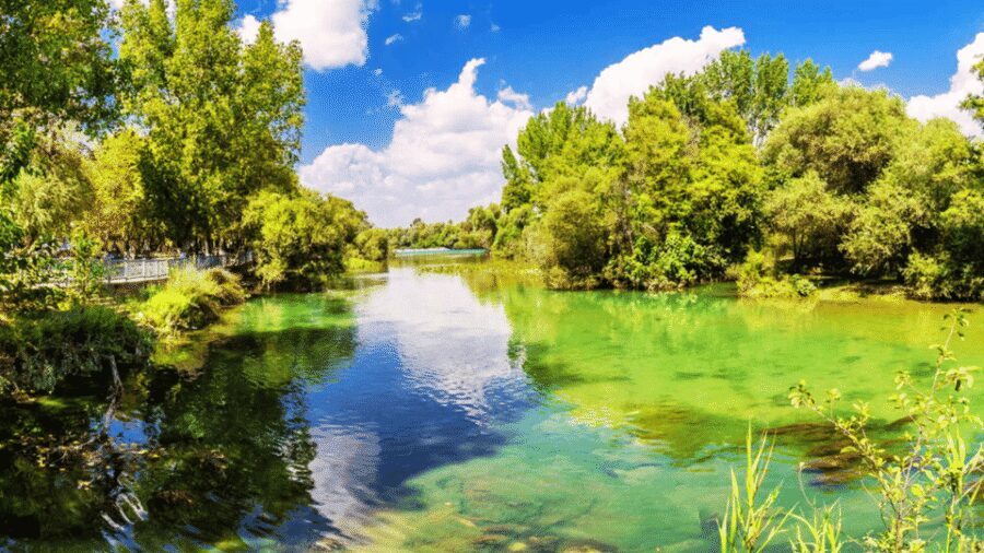 Manavgat River Cruise With Waterfall & Bazaar Tour - Manavgat River day trip: the mix that makes it worth your time