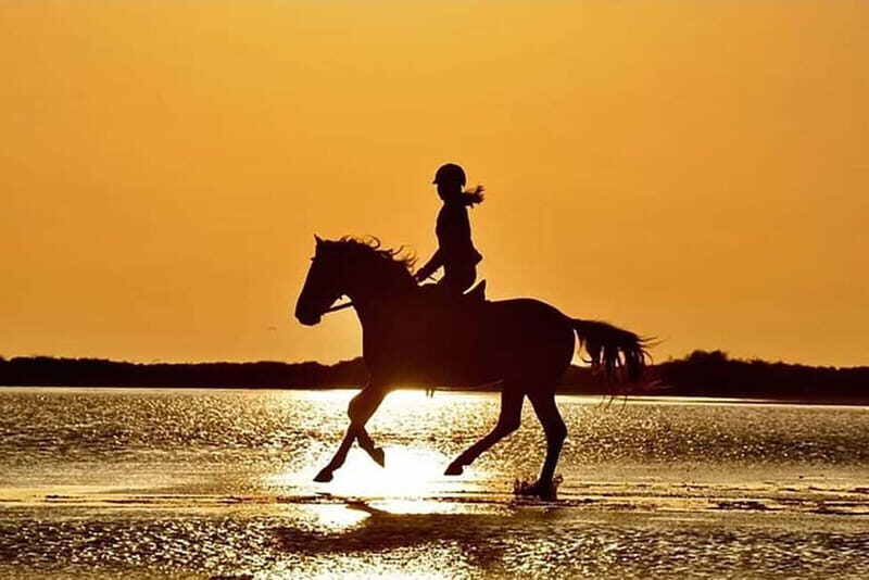Manavgat Side: Horse Riding on the Beach and in the Forest - Key things that make this ride worth your time