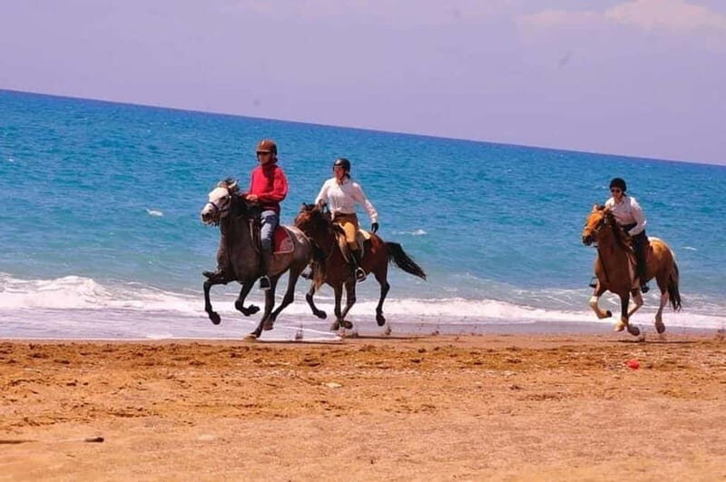Manavgat Side: Horse Riding on the Beach and in the Forest - At the Horse Club: Helmet On, Then the Guide Teaches You the Basics