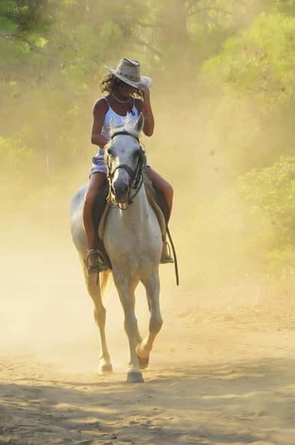 Manavgat Side: Horse Riding on the Beach and in the Forest - The Forest Portion Between Roadways: Pity the Heat, Love the Pines