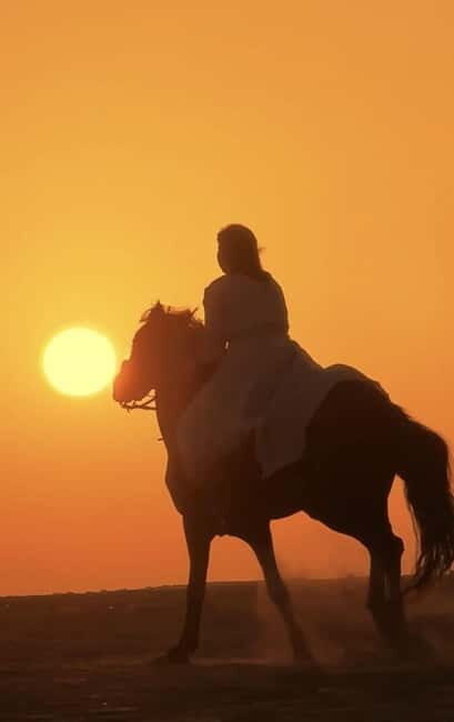 Manavgat Side: Horse Riding on the Beach and in the Forest - Price and Value: Is $58 a Good Deal?