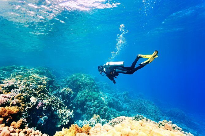 Scuba Diving in Side - What this Side water day is like for first-timers