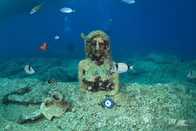 Scuba Diving Under Water Museum - The underwater museum: what you should watch for underwater