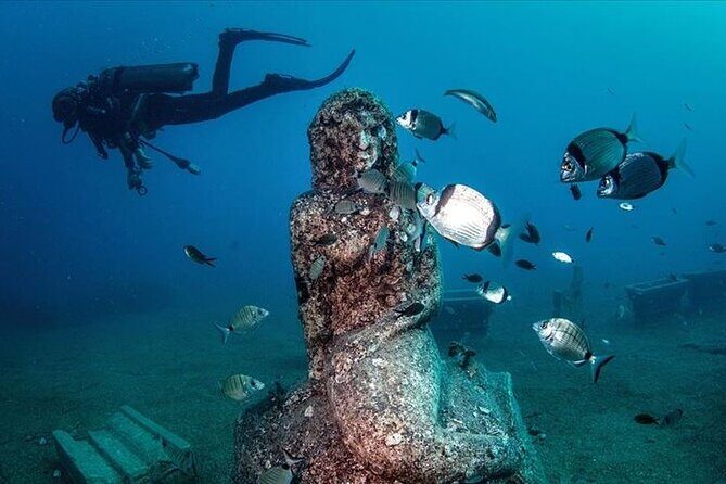 Scuba Diving Under Water Museum - Lunch break in between: why it’s more important than it sounds