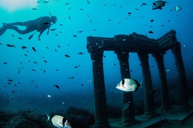 Scuba Diving Under Water Museum - Timing and logistics: the 8:00 start and 8:30 pickup spot