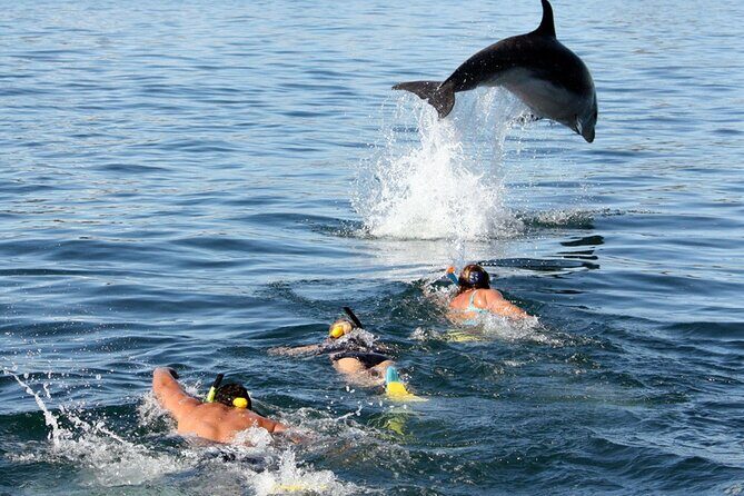 Side Dolphin Island Boat Trip With Lunch And Soft Drinks - Kumköy Pier Departure and the Cruise Highlights Along the Way