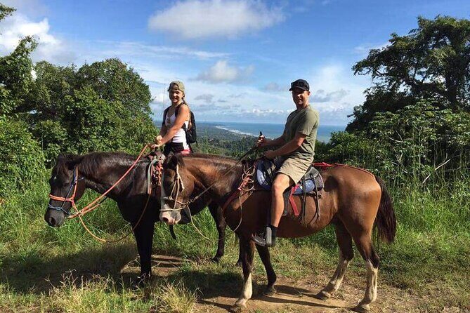 Side Horse Riding On Beach And Through The Forests For 2 Hours - Forests, Orchards, Roads, and the Beach Hour: The Ride Plan