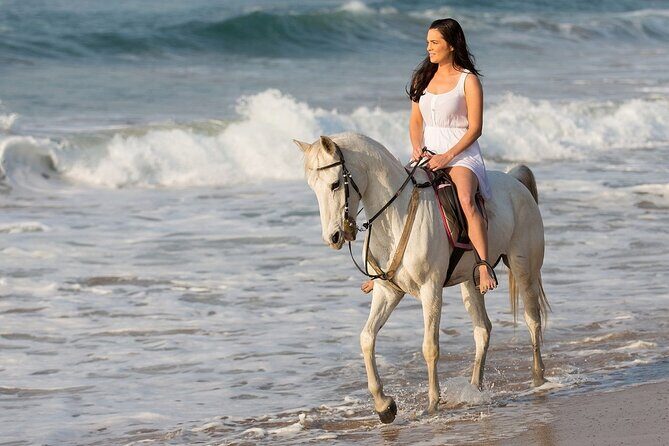 Side Horse Riding On Beach And Through The Forests For 2 Hours - Price vs Value: Is $35 Fair for This Experience?