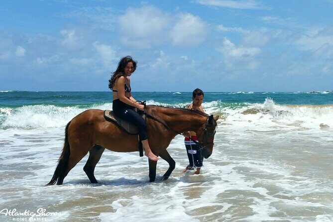 Side Horse Riding On Beach And Through The Forests For 2 Hours - What to Watch For: Horse Care, Rider Fit, and Real Safety