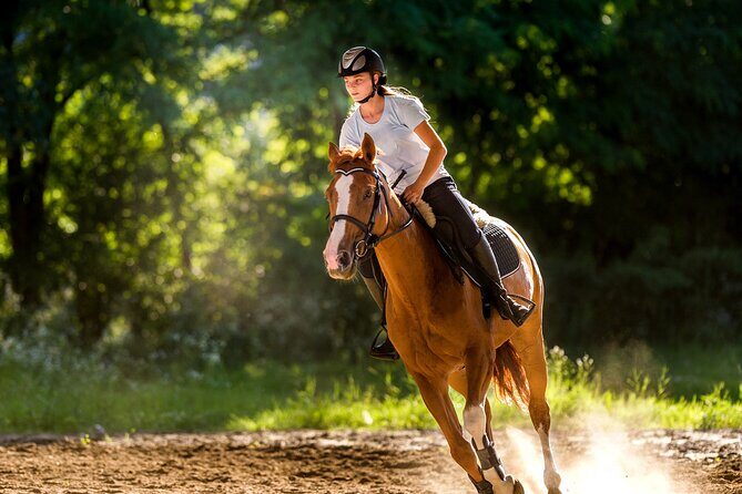 Side Horse Riding On Beach And Through The Forests For 2 Hours - Logistics That Actually Matter in Side (Pickup, Group Size, Weather)