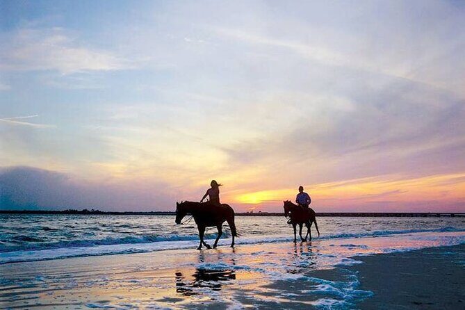 Side Horse Riding On Beach And Through The Forests For 2 Hours - Customer Service Signals: When the Team Reaches Out