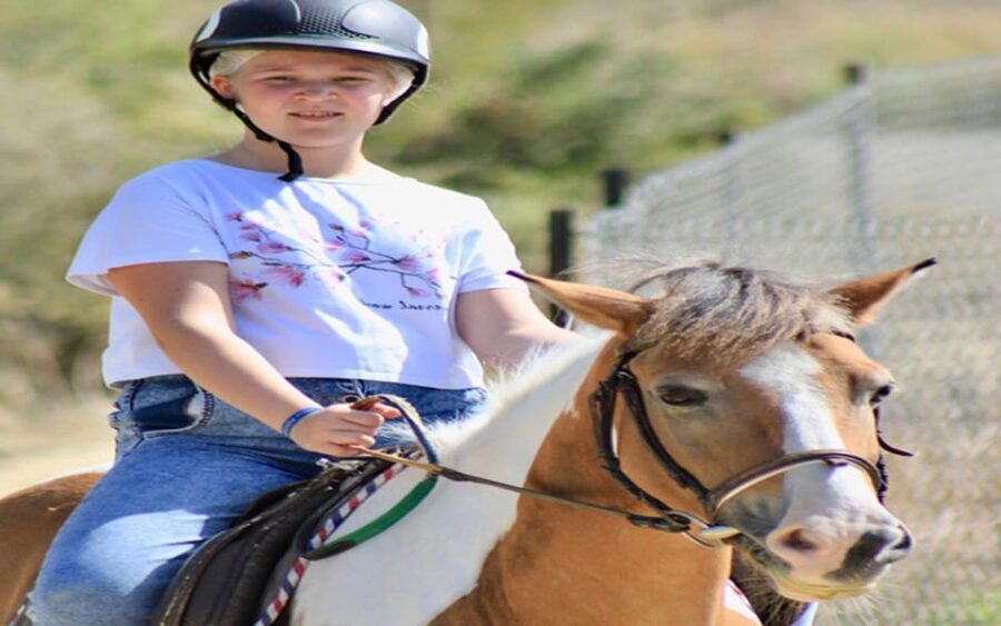 Side: Horse Safari Tour - Beginner-Friendly Training That Actually Helps