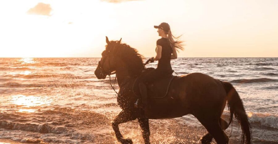 Side: Horseback Riding Tour in Nature - Transfers and Timing: Why the 2 Hours Can Feel Like Less