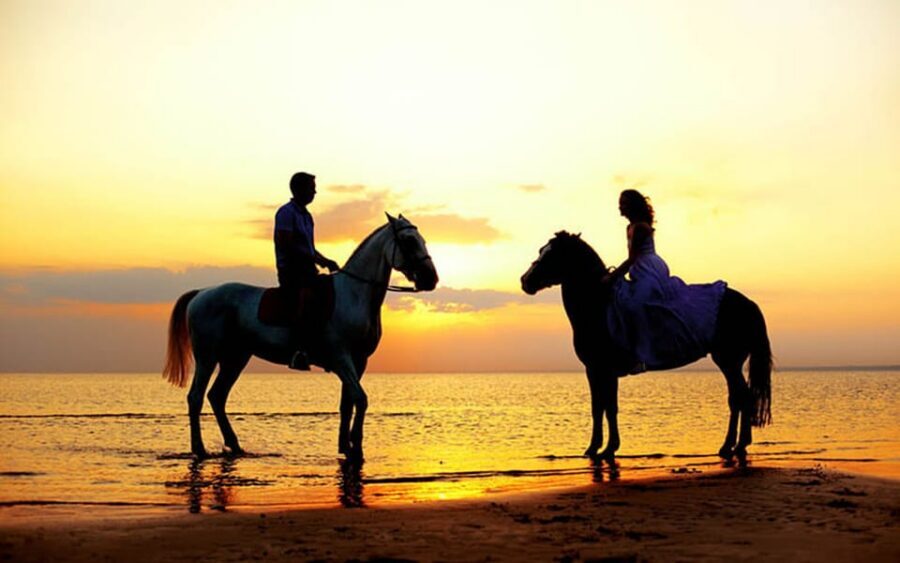 Side: Horseback Riding Tour in Nature - Gear You Get, Gear You Bring: Your Packing List for Side