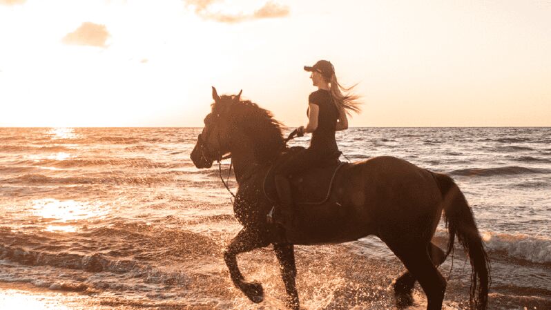 Side: Horseback Riding Tour in Nature - Riding Lesson First: Horse Care Basics Before You Sit Down