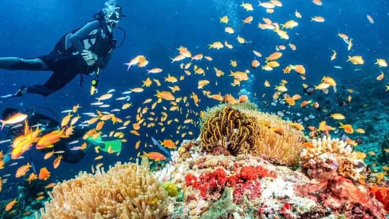 Side: Scuba Diving Tour Journey To The Depths Of The Blue - The Underwater Museum Experience at 5–6 Meters