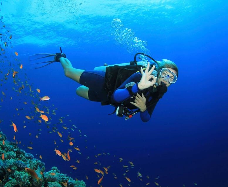 Side: Scuba Diving Tour Journey To The Depths Of The Blue - Getting Value From $53: What You’re Really Paying For