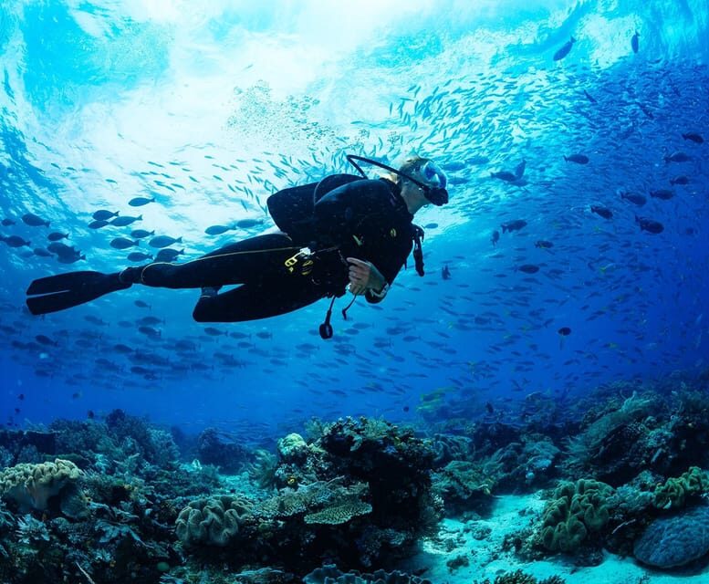 Side: Scuba Diving Tour Journey To The Depths Of The Blue - Who This Tour Suits Best (And Who Should Check First)