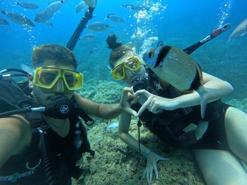 Side: Scuba Diving & Under Water Museum with Hotel Transfer - Lunch on Board and Optional Snorkeling Between Sessions