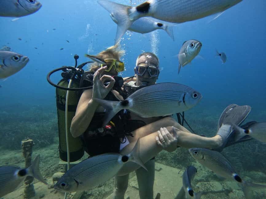 Side: Scuba Diving & Under Water Museum with Hotel Transfer - Timing, Boat Comfort, and How Long You’ll Be Away