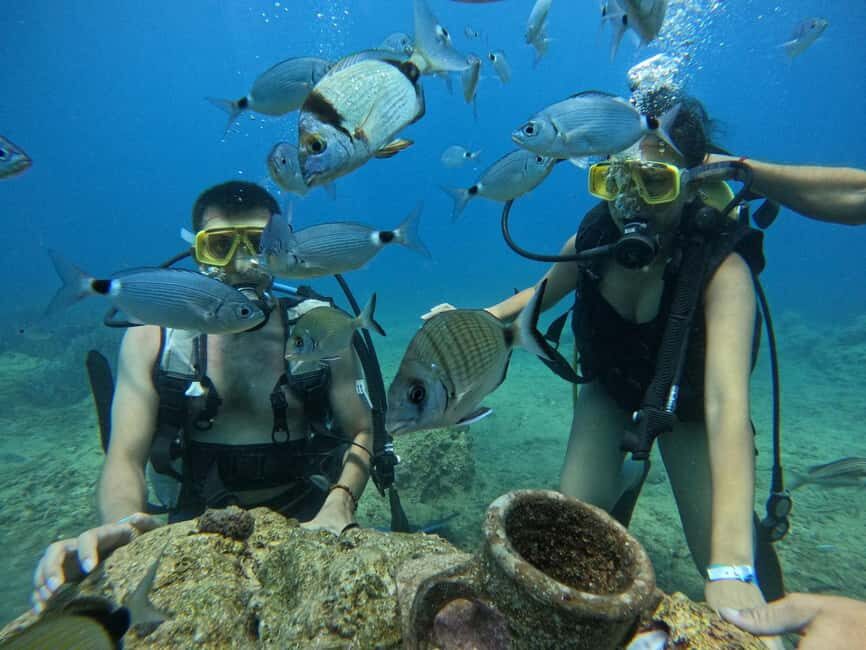 Side: Scuba Diving & Under Water Museum with Hotel Transfer - Who This Tour Is Best For (and Who Should Skip It)