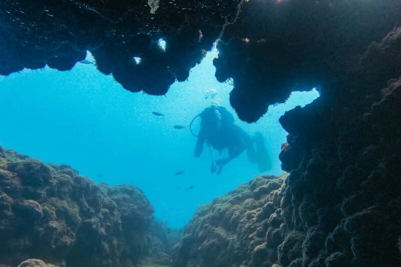 Side: Scuba Diving, Underwater Museum, 2 Dives incl. Lunch - Key highlights worth planning for