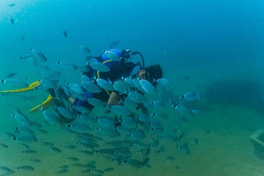 Side: Scuba Diving, Underwater Museum, 2 Dives incl. Lunch - Price and value: does $49 cover what you’ll actually do?